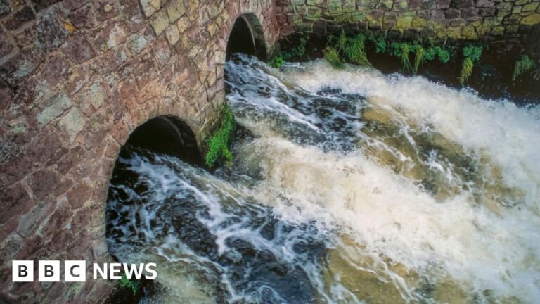 Bosses’ bonuses banned at six water companies