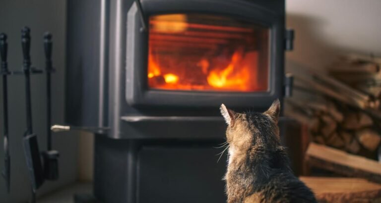 votre poêle sera-t-il interdit en 2027 ? Voici comment éviter la panique