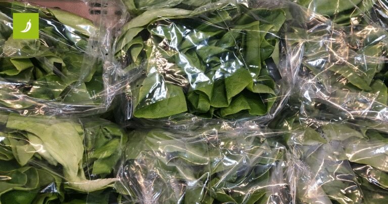 Mislite da je salata iz vrećice spremna za jelo? Možda ipak nije