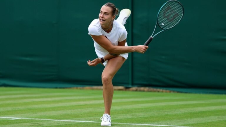 Wimbledon experts’ picks: Who will win?