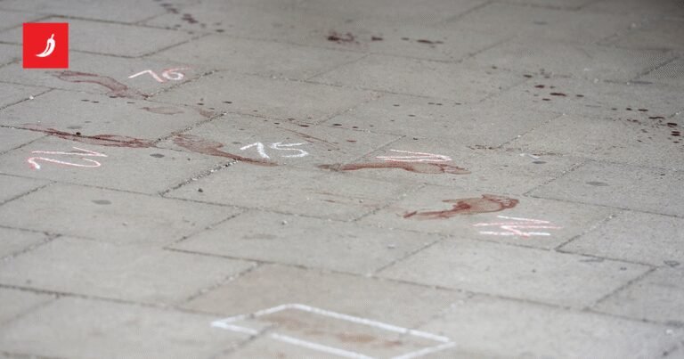 Žena u Muenchenu nožem ozlijedila muškarca i ženu, upucana je. Umrla je u bolnici