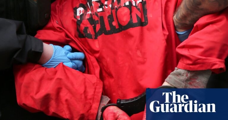 Palestine Action expected to be banned after vandalism of planes at RAF base | UK security and counter-terrorism