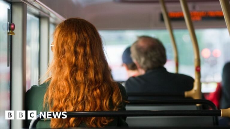 How much did schools, transport and the NHS get?