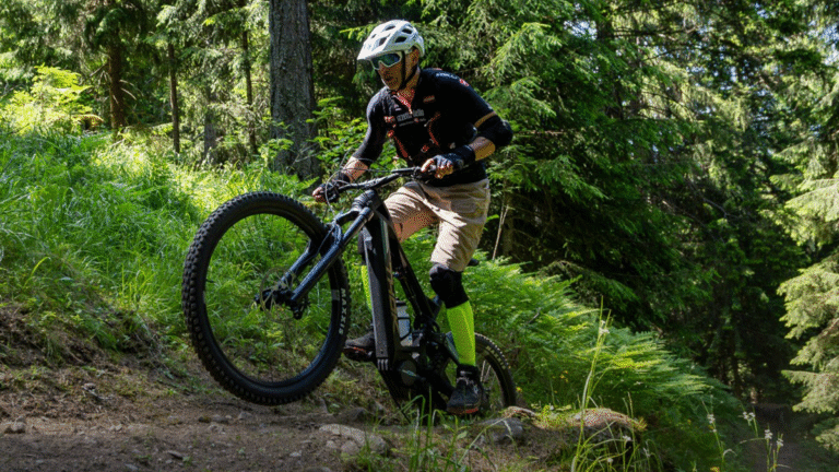 Batteria Askoll Ultra In Tube 756 per e-mtb: tecnologia Italiana Innovativa