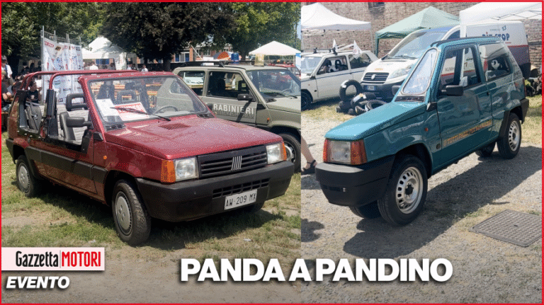 Panda a Pandino 2025. 1.063 Fiat riunite per il record: le più interessanti