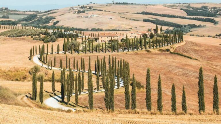 Guidare su una strada privata: regole, multe e assicurazioni