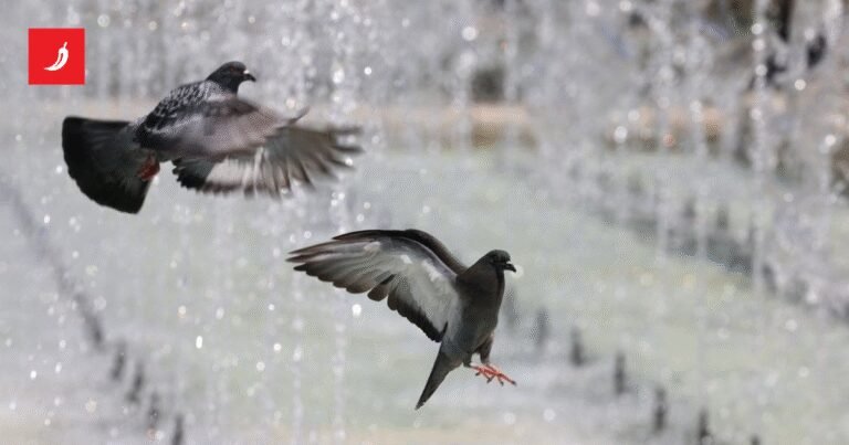 Skoro 200 država dogovorilo povećanje UN-ovog proračuna za klimu za 10 posto