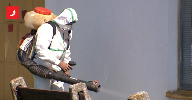 Najezda žohara u Osijeku – Index.hr