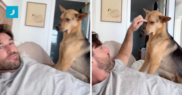 Uplašeni pas pronašao utjehu u zagrljaju vlasnika nakon snažne grmljavine