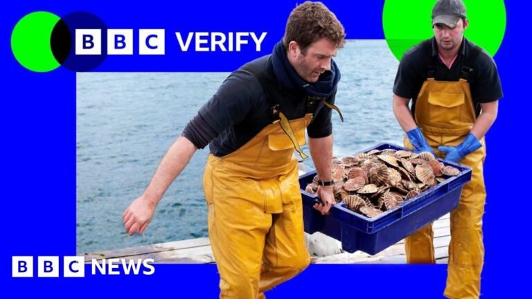 Who are the winners and losers?