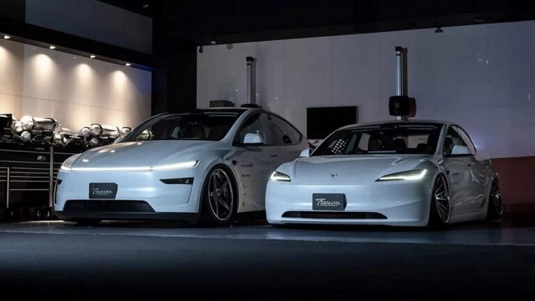Tesla Model 3 und Model Y von T-Demand!