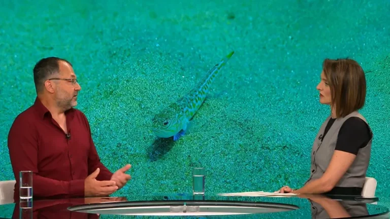 Morski biolog o morskim psima, lavovima i drugim predatorima u Jadranu