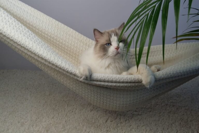 Genius DIY ‘Cat Hammock’ to Keep Kitties Safe Is Downright Brilliant