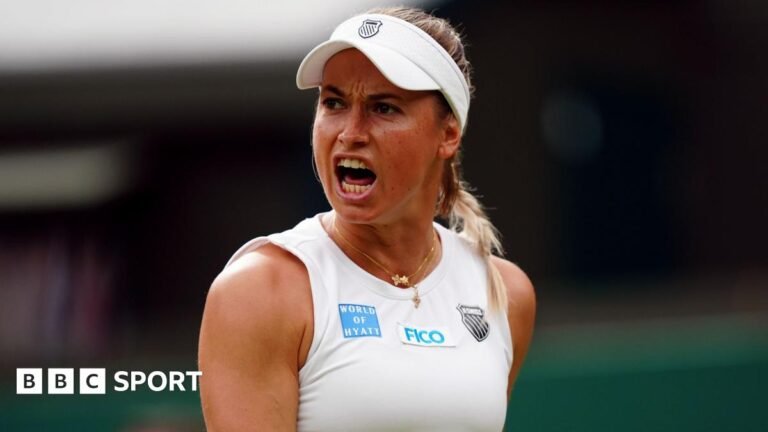 Wimbledon 2025: Yulia Putintseva appeals to umpire over safety concern