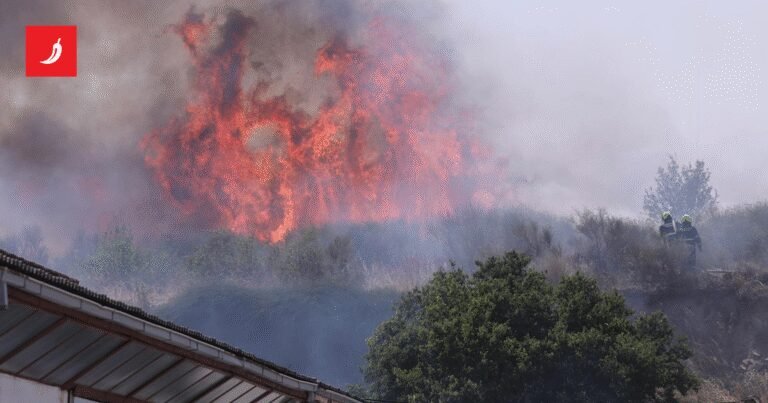 FOTO I VIDEO Požar u Splitu, približio se barakama. vatrogasci ga lokalizirali
