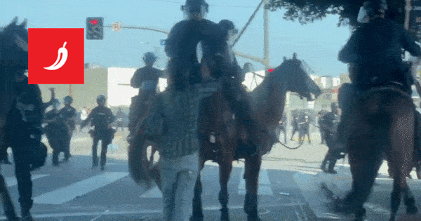 Gotov policijski sat. Imigracijski agenti stižu u pet demokratskih gradova