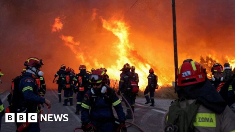 Wildfires rage on Greek island