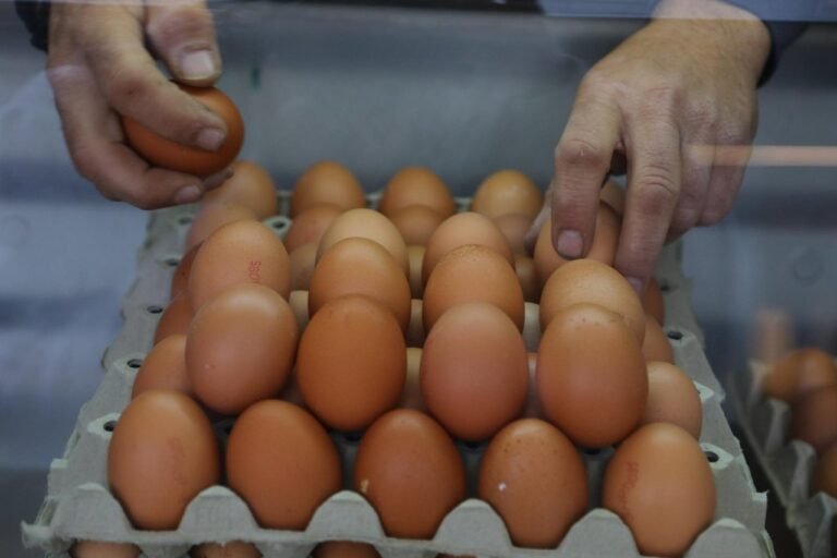 Kako čuvati hranu? Salmonela se nađe i u proizvodima gdje je ne očekujete