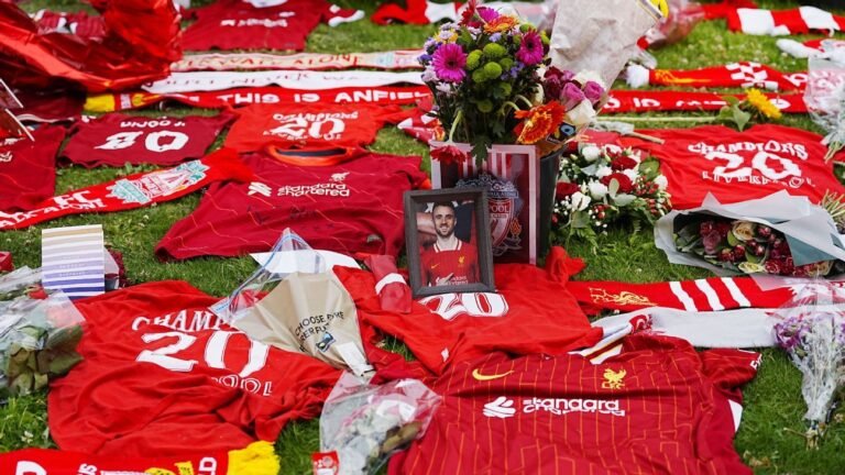 Diogo Jota could have been speeding when he crashed – Spain police