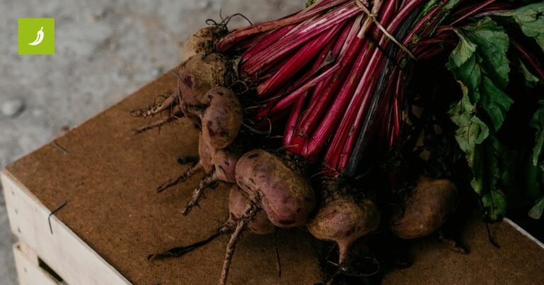 Ako želite imati više energije, počnite češće jesti ovih sedam protuupalnih namirnica