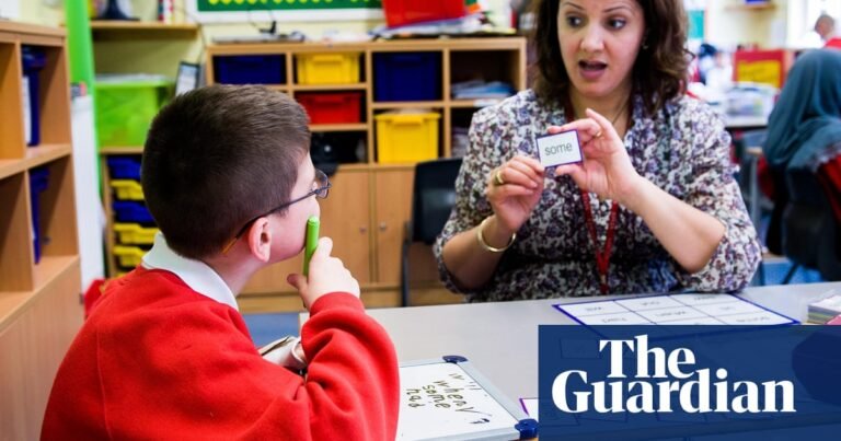 Schools in England ‘need complex changes’ to take more pupils with special needs | Special educational needs