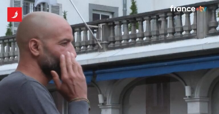 Masovni napad pčela u Francuskoj, 24 ozlijeđenih