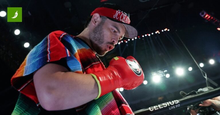 SAD uhitio Meksikanca koji je u subotu izgubio od Jakea Paula. Deportirat će ga