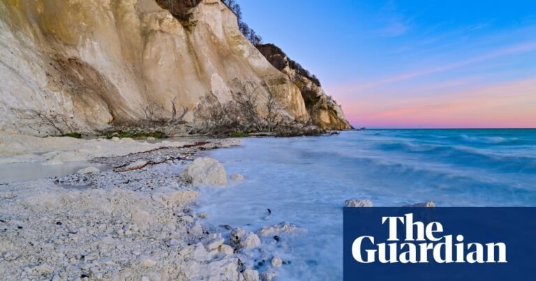 Fossils, forests and wild orchids: exploring the white cliffs of Denmark | Travel