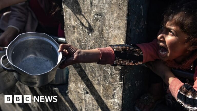 Trump’s aid cut risks causing 14 million deaths, report finds