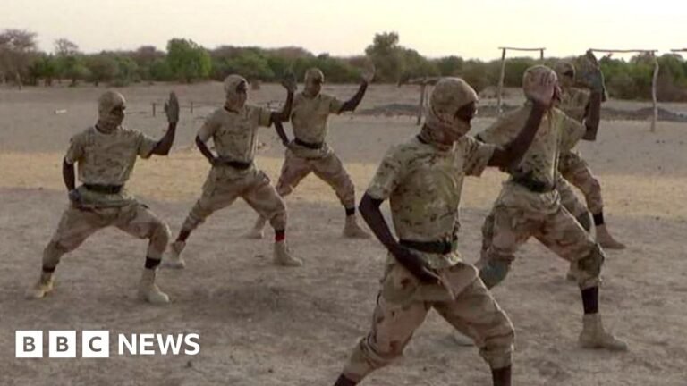 How an al-Qaeda offshoot became one of Africa’s deadliest militant groups