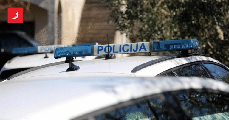 Gruzijac u autu splitskih registracija krijumčario migrante. Uhićen je u Istri