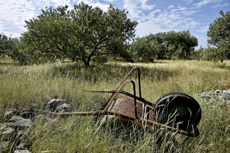 Stižu milijuni, ali sateliti gledaju jeste li pokosili na vrijeme? Ako niste nema potpora. Ovo su uvjeti za isplatu!