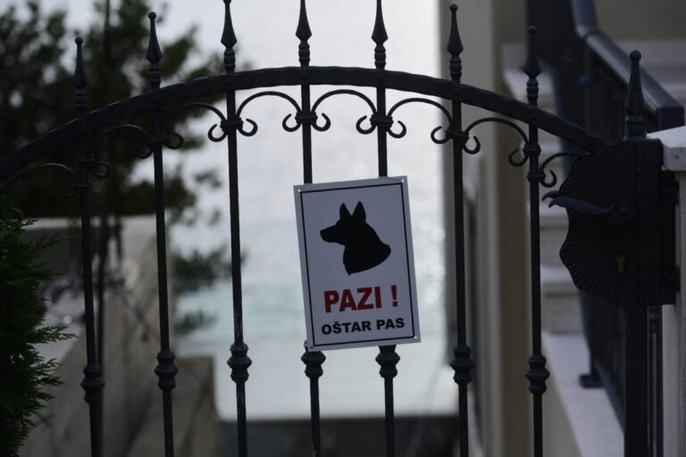 Pas na plaži napao 40-godišnjakinju i nanio joj ozljede. Vlasnica zaradila kaznenu prijavu